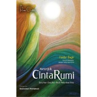 Image of Mereguk Cinta Rumi